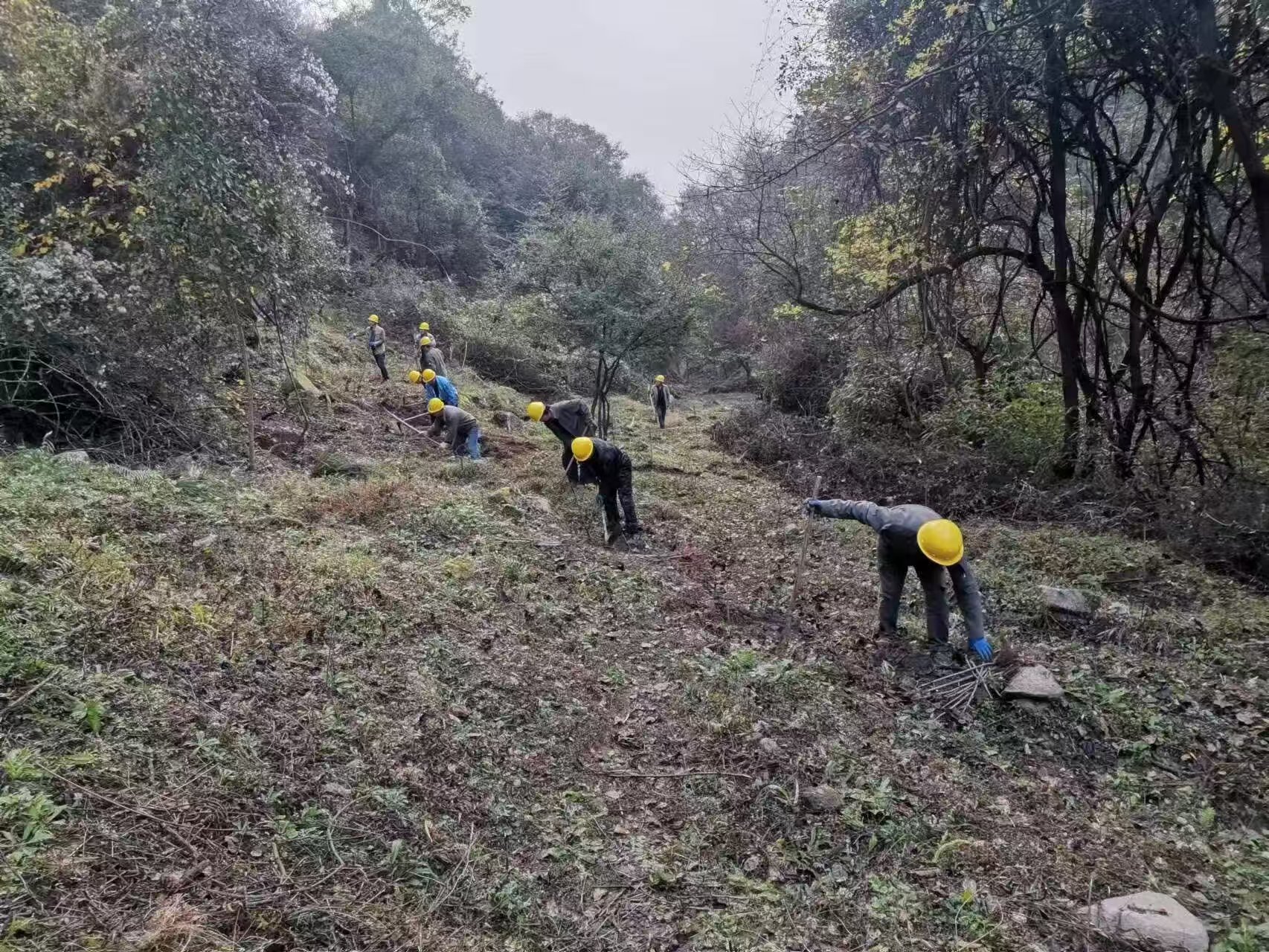 1741768015105099952.jpg 1741768015105099952.jpg