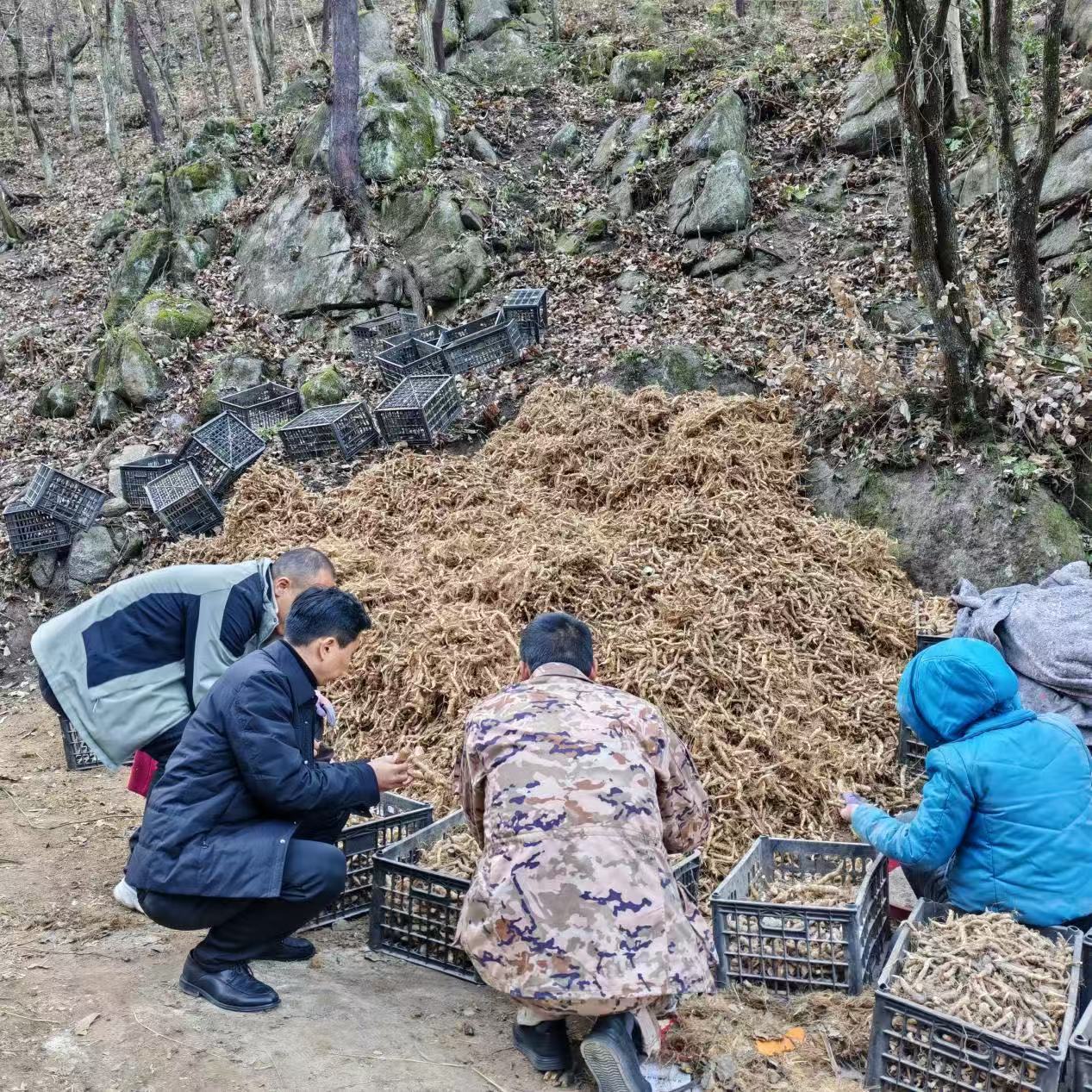 1765246338446098756.jpg 1765246338446098756.jpg