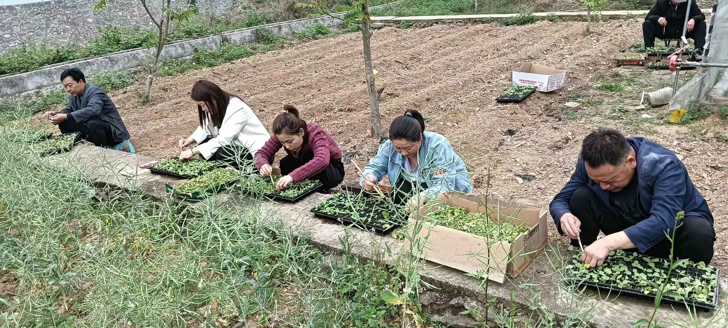 微信图片_20240517092300(1).jpg