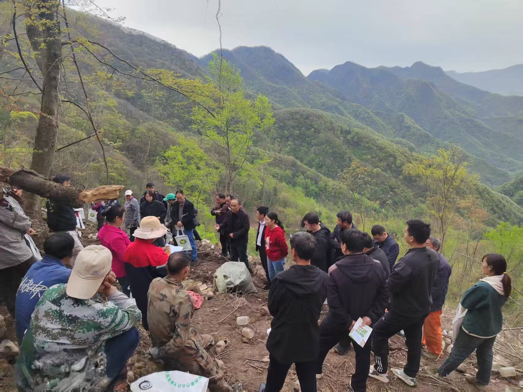 1776050275386069716.jpg 1776050275386069716.jpg